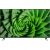 Фото LG 43UN8000 от магазина Manzana