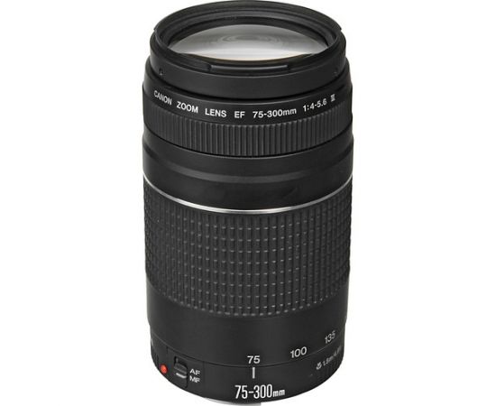 Фото Canon EOS 200D kit (18-55mm + 75-300mm), изображение 2 от магазина Manzana