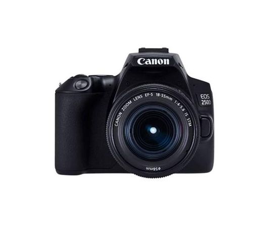 Фото Canon EOS 250D kit (18-55mm) EF-S IS STM от магазина Manzana